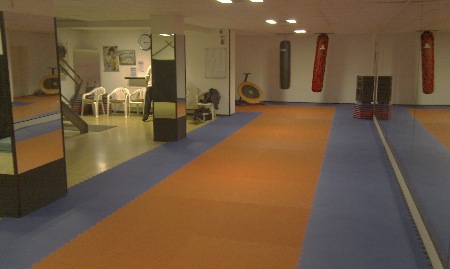 ab 2013 Krav-Maga in Moers